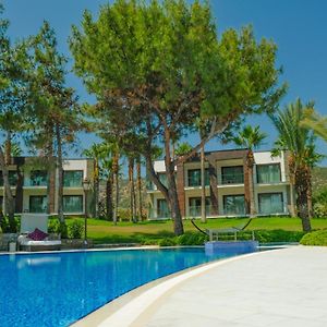 Palm Suite