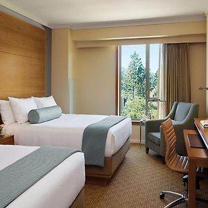 Zimmer mit Queensize-Bett