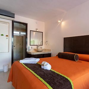 Standard Zimmer mit Kingsize-Bett
