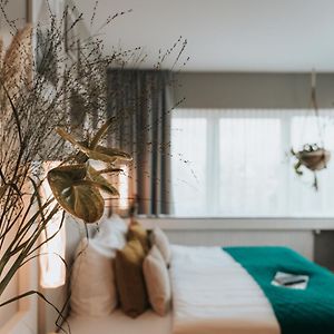 Zimmer mit Kingsize-Bett