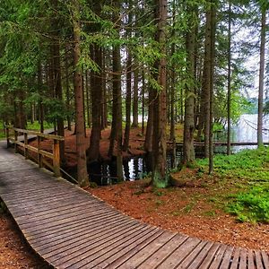 Zimmer mit zwei Einzelbetten