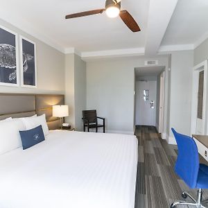 Superior Zimmer mit Kingsize-Bett