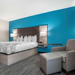 Suite mit Kingsize-Bett