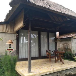 Standard Villa