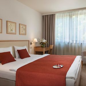 Standard Zimmer mit Kingsize-Bett