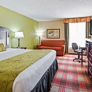 Executive Zimmer mit Kingsize-Bett