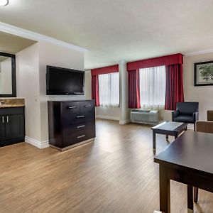 Suite mit Kingsize-Bett