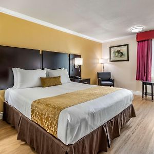 Zimmer mit Kingsize-Bett