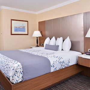 Zimmer mit Kingsize-Bett