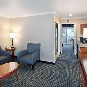 Suite mit Kingsize-Bett