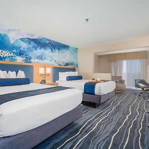 Suite mit Queensize-Bett