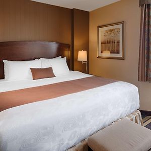 Suite mit Kingsize-Bett