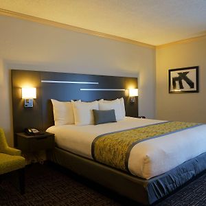 Suite mit Kingsize-Bett