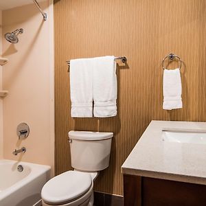 Suite mit 1 Schlafzimmer und mit Kingsize-Bett