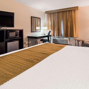 Suite mit Kingsize-Bett