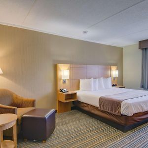 Standard Doppelzimmer mit 1 Schlafzimmer
