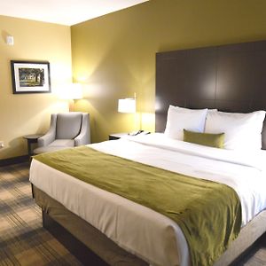 Suite mit Kingsize-Bett