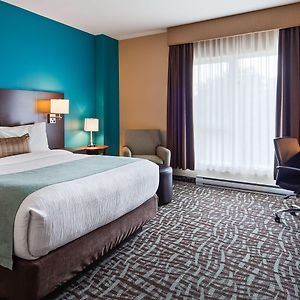 Zimmer mit Queensize-Bett