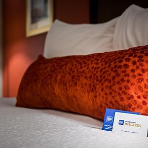 Zimmer mit Queensize-Bett