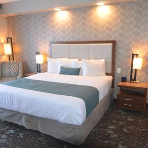 Zimmer mit Kingsize-Bett
