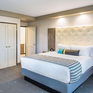 Suite mit Kingsize-Bett