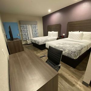 Suite mit Queensize-Bett