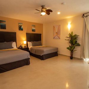 Standard Suite