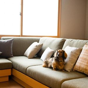 Hunde erlaubt Suite