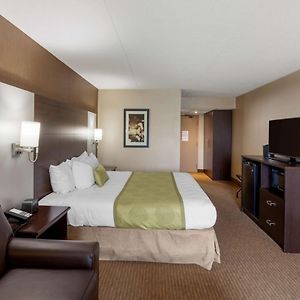 Zimmer mit Kingsize-Bett