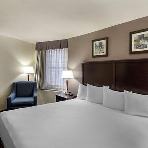 Suite mit Kingsize-Bett