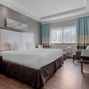 Zimmer mit Kingsize-Bett für Gäste mit Behinderungen