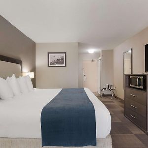 Zimmer mit Kingsize-Bett