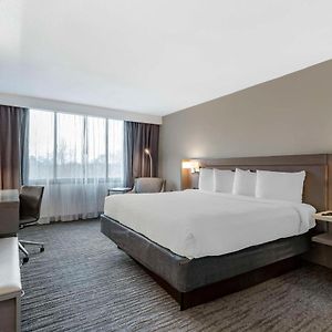 Suite mit Zugang für Rollstuhlfahrer mit Kingsize-Bett