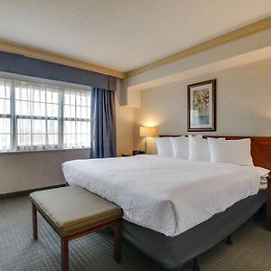 Suite mit Kingsize-Bett