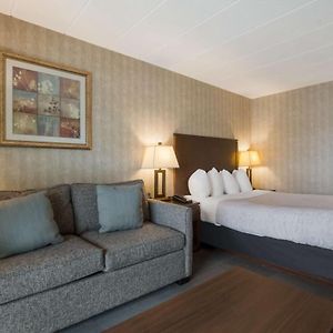 Suite mit Kingsize-Bett
