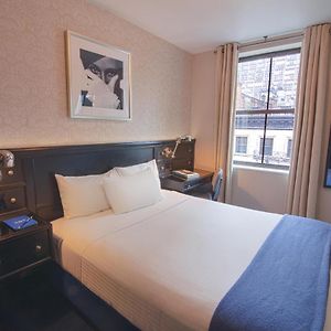 Studio mit Zugang für Rollstuhlfahrer mit Queensize-Bett