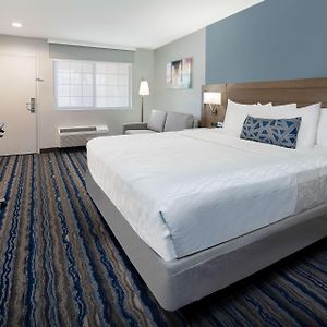 Executive Zimmer mit Kingsize-Bett