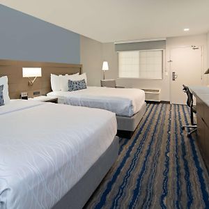Zimmer mit Queensize-Bett