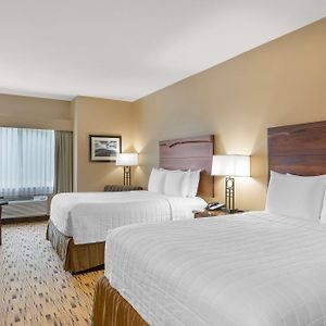 Zimmer mit Queensize-Bett