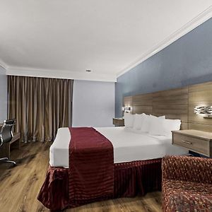 Zimmer mit Kingsize-Bett