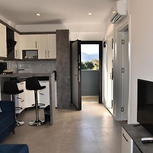 Familien-Suite