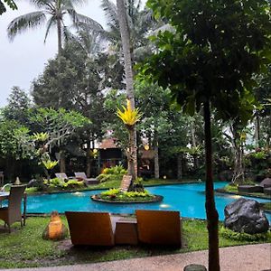 Green Bird Villa