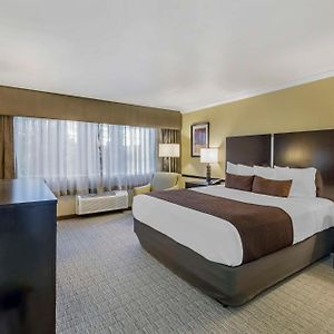 Zimmer mit Kingsize-Bett