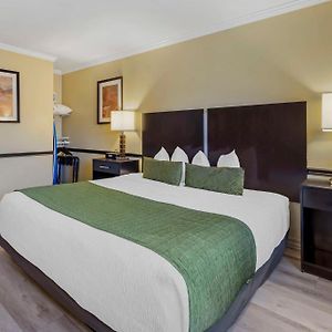 Zimmer mit Kingsize-Bett