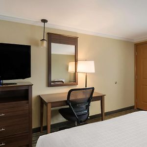 Suite mit Queensize-Bett