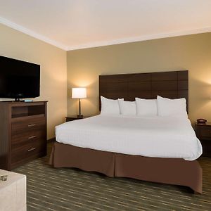 Suite mit Kingsize-Bett
