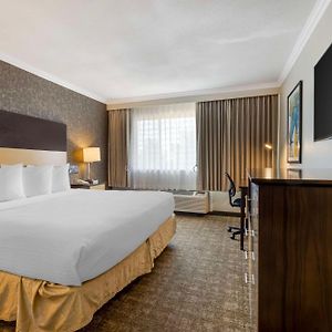 Zimmer mit Kingsize-Bett für Gäste mit Behinderungen
