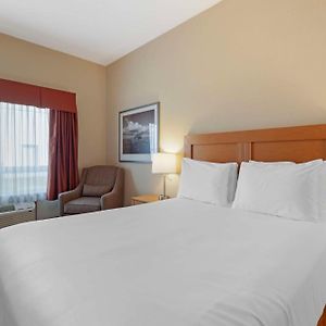 Suite mit Kingsize-Bett