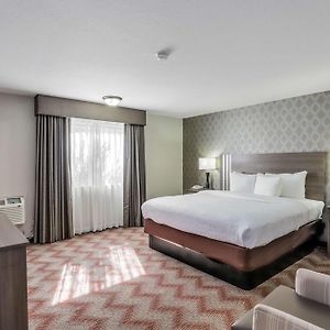Zimmer mit Kingsize-Bett