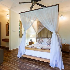 Suite mit Queensize-Bett